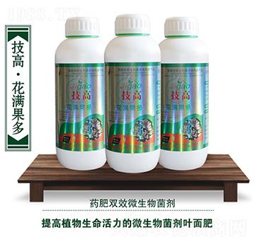 ΢�������-���M����-��������