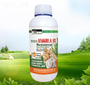 �[���⿹�������-����