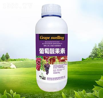 �����n����-������