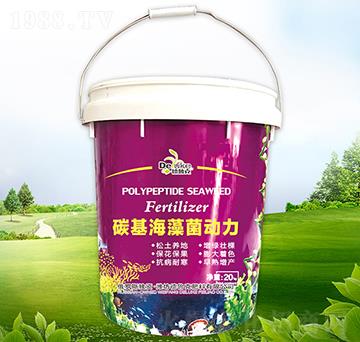 ̼�����������-������