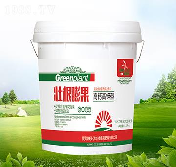 ���}����͉Ѹ����-��