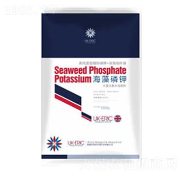 �������-Ӣ�������