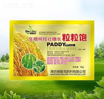 ������(qu��n)�����L�����-