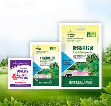 �~�����L�`+�T��(d��o)��-��