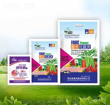 ���������ֱ�`+�T��(d��o)��