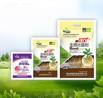 �������焩+�T��(d��o)��-��