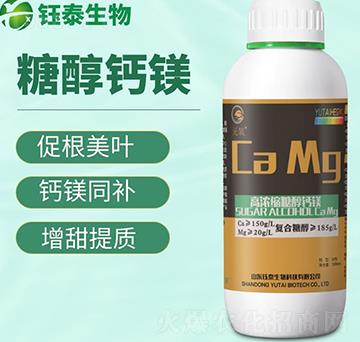 �Ǵ��}�V-�̩����