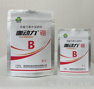 ��������-�G����