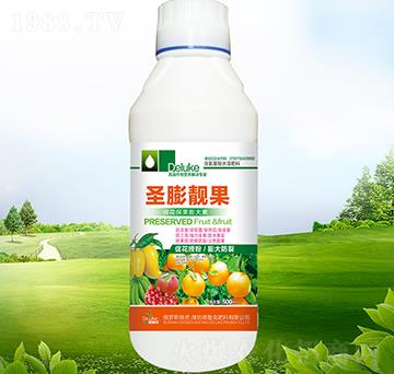 ʥ���n��-������