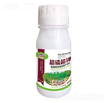 ���׳��-ɽ�|�������