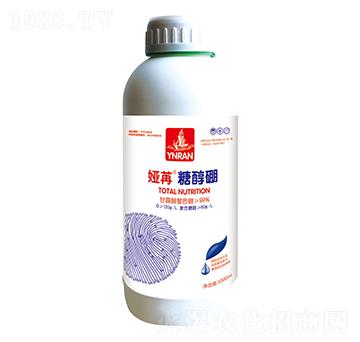 �Ǵ���-�I��-ɽ�|�������