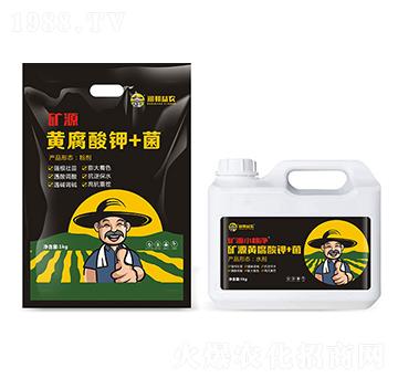 �VԴ�S�����+��-�������r(n��ng)