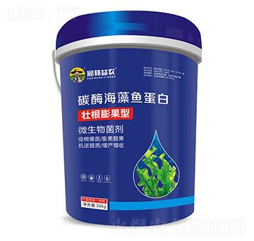 ̼ø�����~����-�������r(n��ng)