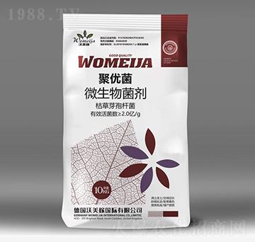 ΢�������-�ۃ�(y��u)��-������