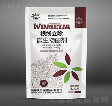 ΢�������-��������-������