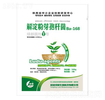 �G������1̖-�G��