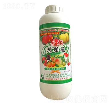 ��ֲ��-�G��