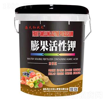 ��������-����t��Ԫ