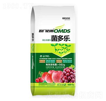 ΢�������-������-��