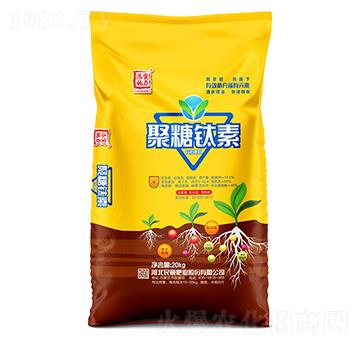 �������-����ʘI(y��)