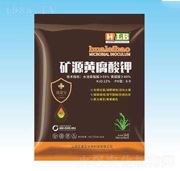 �VԴ�S�����-���ٌ�����