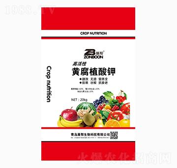 �߻����S��ֲ���-չ��