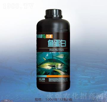 1000���~(y��)����-�ٝ�(r��n)�ݰ�