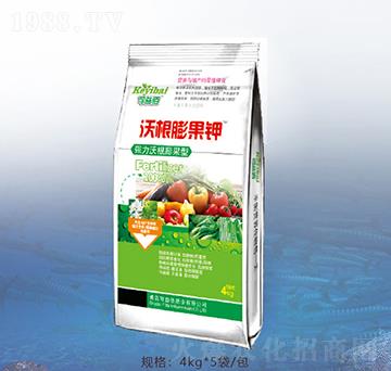 4kg�ָ�����-�ٝ��ݰ�