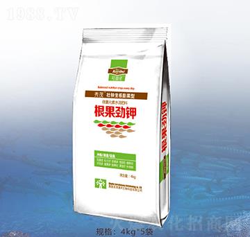 �������-�ٝ��ݰ�