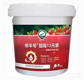 �nݮ12Ԫ��-�z�S̖-�ǻ���