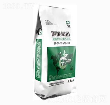 ̼�ܴ���Ԫ��ˮ�ܷ�19-19-19+TE+HA-̼���ɽ�-�ǻ���