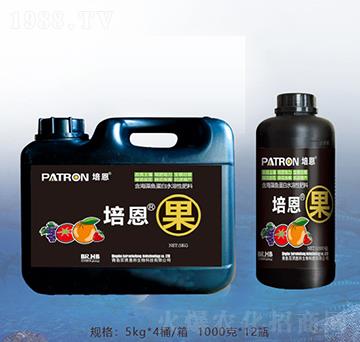 �����-�ٝ��ݰ�