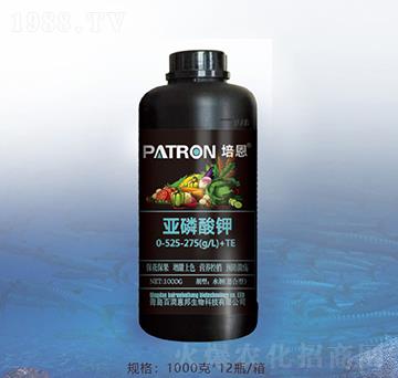 �������-�ٝ��ݰ�