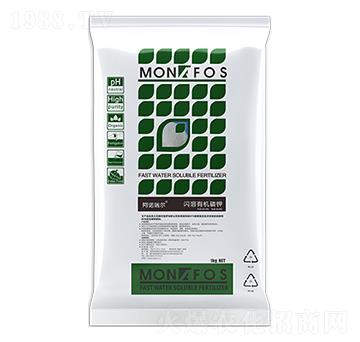 ������⛷���-˹�͸��_