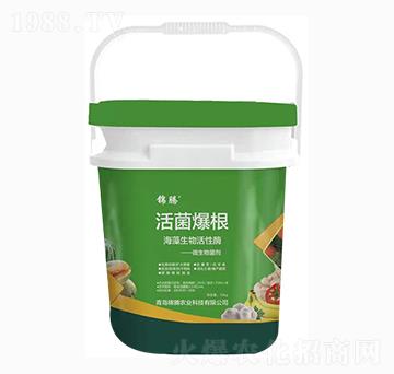 �������-�\�v�r(n��ng)�I(y��)