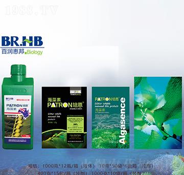 ԭ����-�ٝ��ݰ�