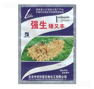 ���������S-��������