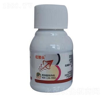 4.9%�׾S��ʭ����-�t���^-�̎��r(n��ng)�I(y��)