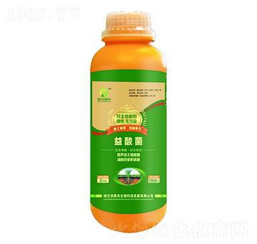 �������Ƅ�-�����-�W�r����