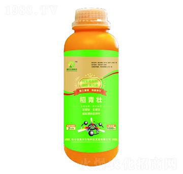 �������Ƅ�-������-�W�r����