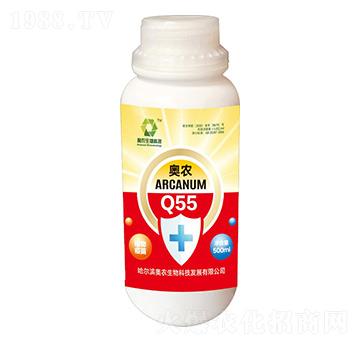 �W�rQ55-�W�r����