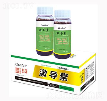 ����(d��o)��