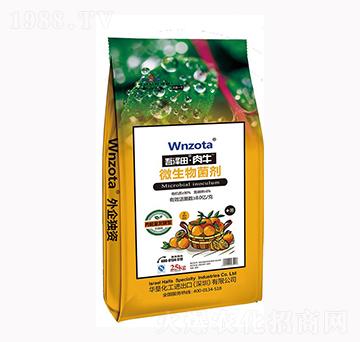 ΢������� ������ţ