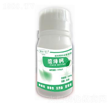 �߼����ЙC�����}-���w�}-ϲ�G���S