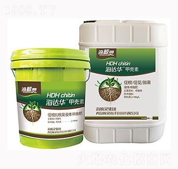 ���_�A�ך���-�L�`