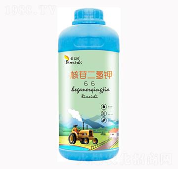 ���ն����-�����r-�f���r(n��ng)��