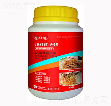 �ݲ�ѿ�ߗU��-С�t��-�f���r(n��ng)��