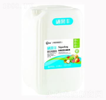 �����S΢�������-�f���r(n��ng)��