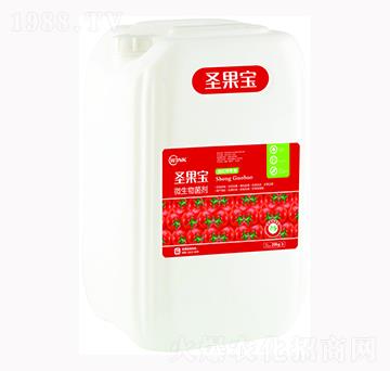 ΢�������-ʥ����-�f���r(n��ng)��