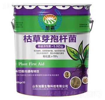 �ݲ�ѿ�ߗU��-�������